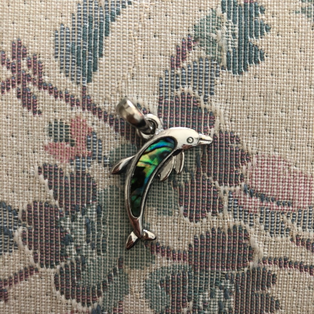 Dolphin Enameled Charm